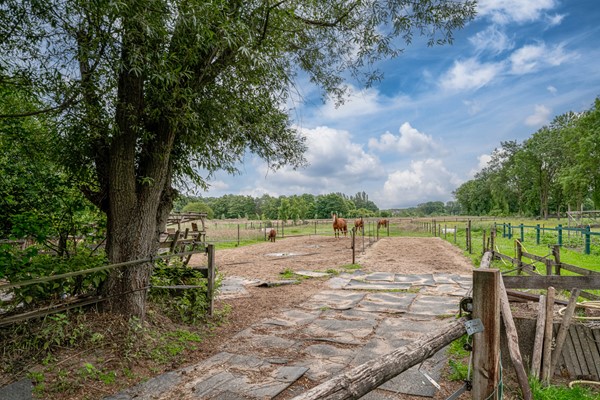 Medium property photo - Peppelmansdijk 12, 7011 JL Gaanderen